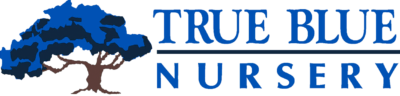 Logo for True Blue Nursery